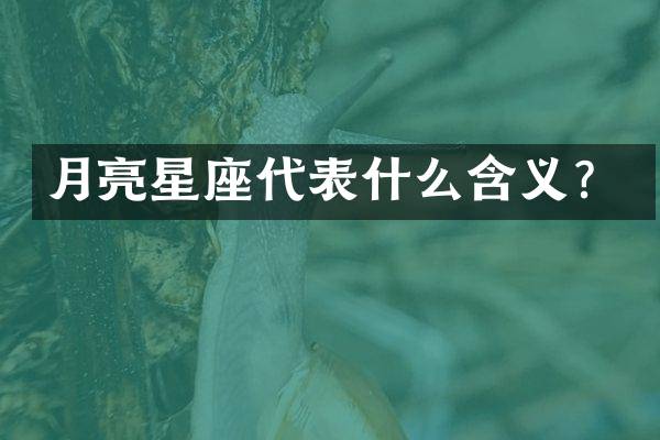 月亮星座代表什么含义？