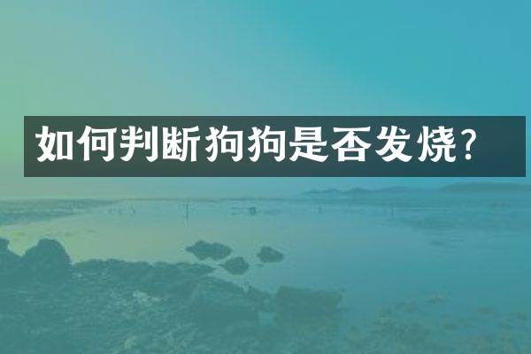 如何判断狗狗是否发烧？