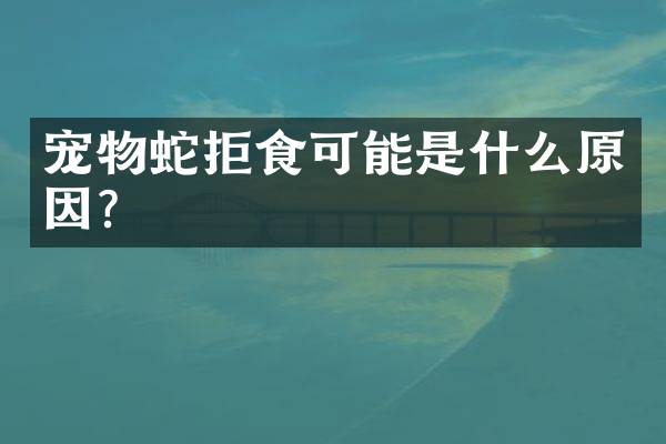 宠物蛇拒食可能是什么原因？