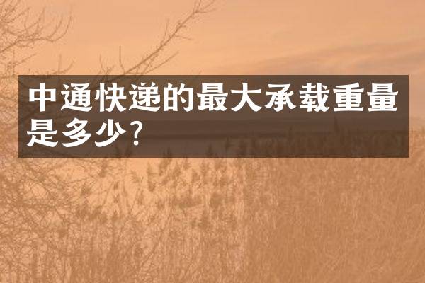 中通快递的最大承载重量是多少？