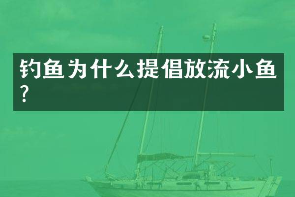 钓鱼为什么提倡放流小鱼？