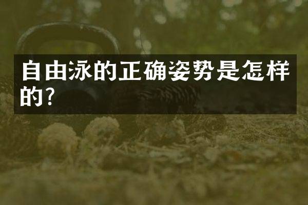 自由泳的正确姿势是怎样的？