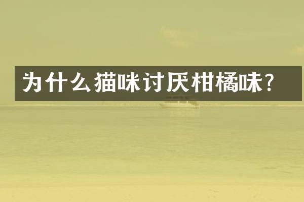 为什么猫咪讨厌柑橘味？