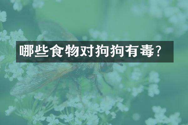 哪些食物对狗狗有毒？
