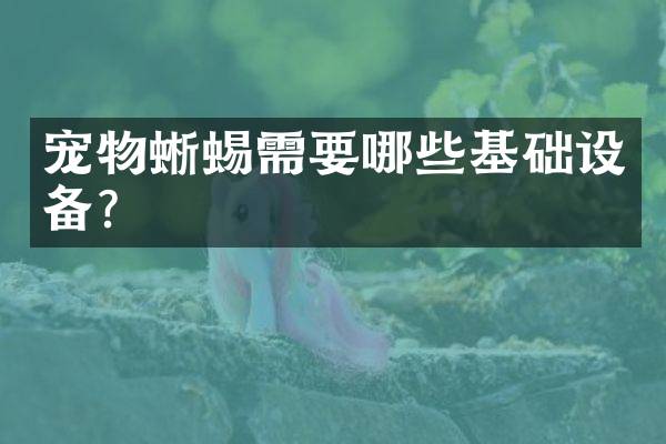 宠物蜥蜴需要哪些基础设备？