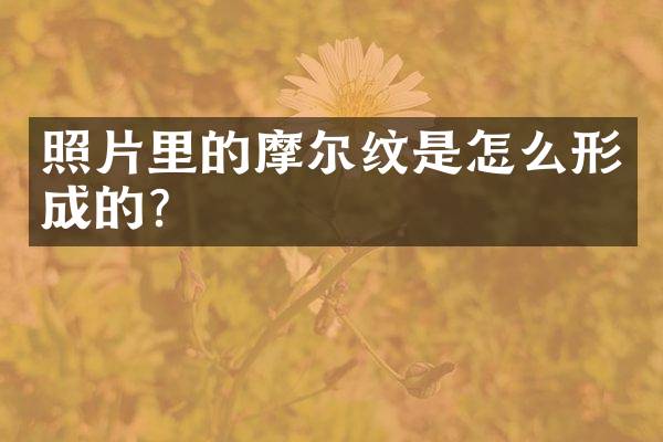 照片里的摩尔纹是怎么形成的？