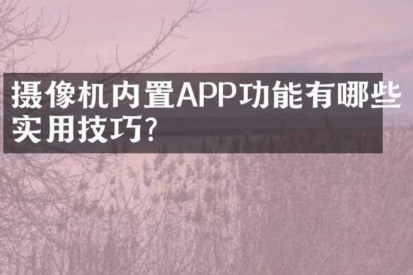 摄像机内置APP功能有哪些实用技巧？