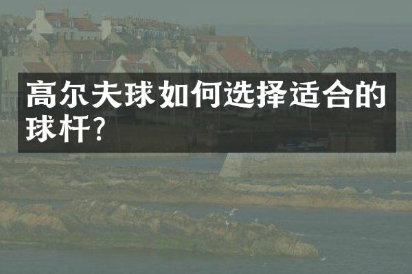 高尔夫球如何选择适合的球杆？
