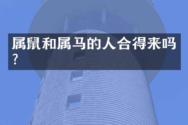 属鼠和属马的人合得来吗？