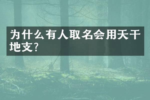 为什么有人取名会用天干地支？