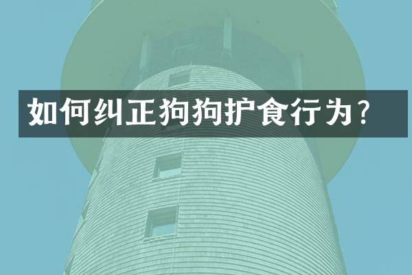 如何纠正狗狗护食行为？