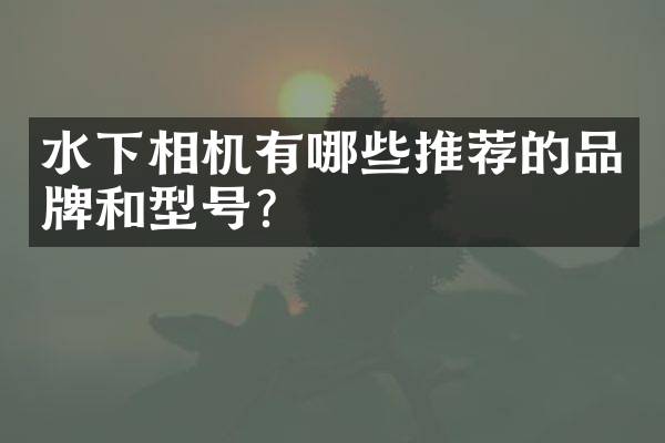 水下相机有哪些推荐的品牌和型号？