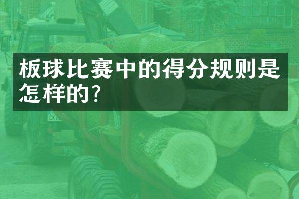 板球比赛中的得分规则是怎样的？