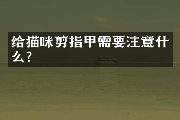 给猫咪剪指甲需要注意什么？