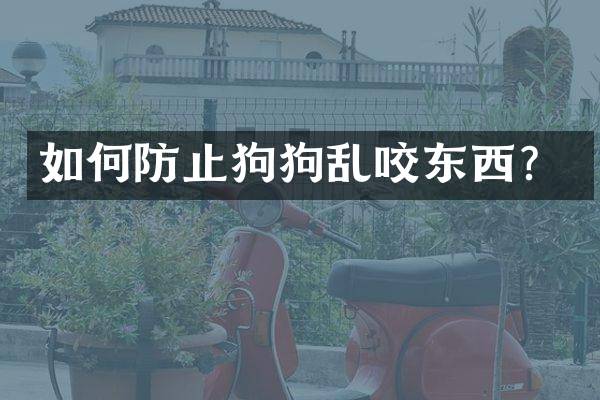 如何防止狗狗乱咬东西？