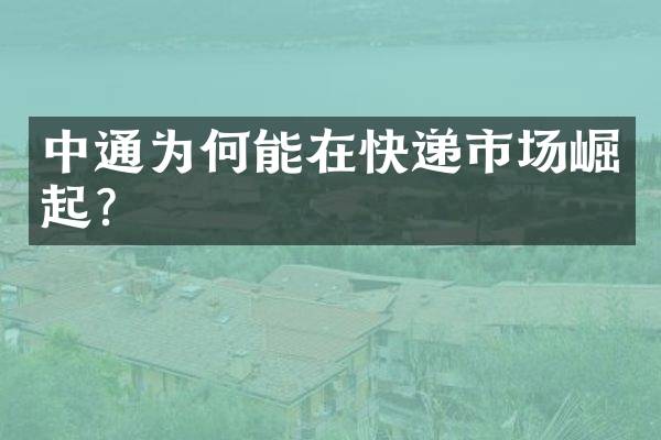 中通为何能在快递市场崛起？