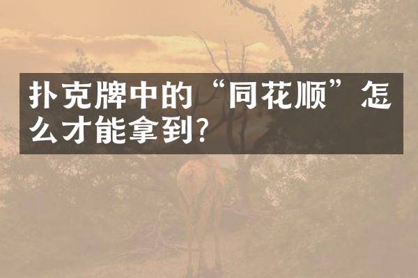 扑克牌中的&ldquo;同花顺&rdquo;怎么才能拿到？