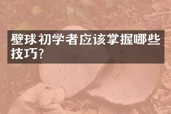 壁球初学者应该掌握哪些技巧？
