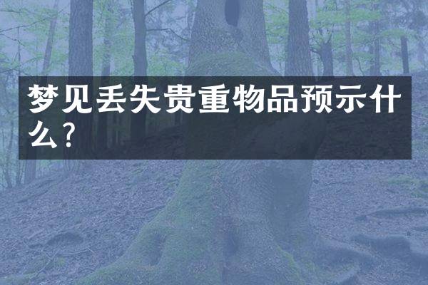 梦见丢失贵重物品预示什么？