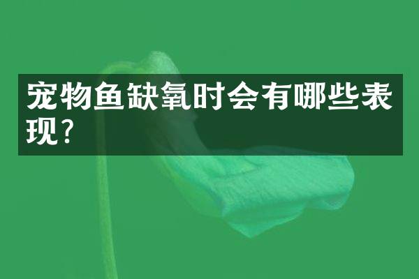 宠物鱼缺氧时会有哪些表现？