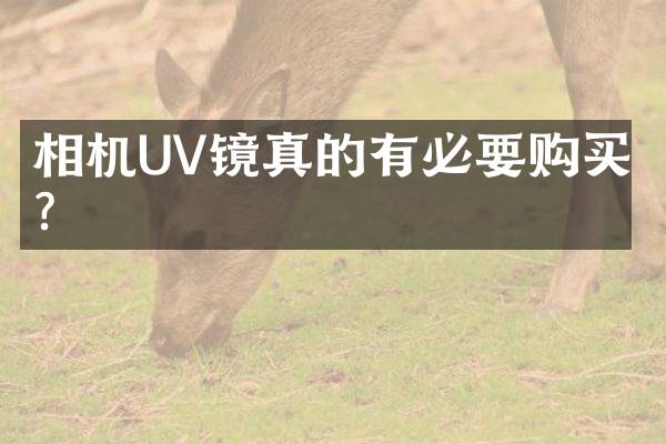 相机UV镜真的有必要购买吗？