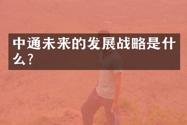 中通未来的发展战略是什么？
