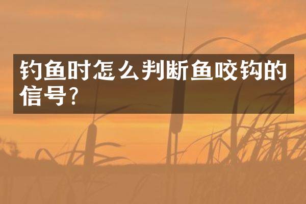 钓鱼时怎么判断鱼咬钩的信号？