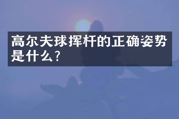 高尔夫球挥杆的正确姿势是什么？