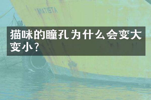 猫咪的瞳孔为什么会变大变小？