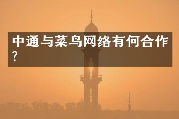 中通与菜鸟网络有何合作？