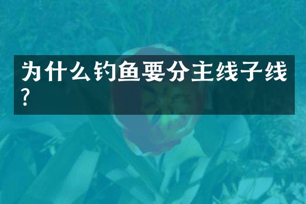 为什么钓鱼要分主线子线？
