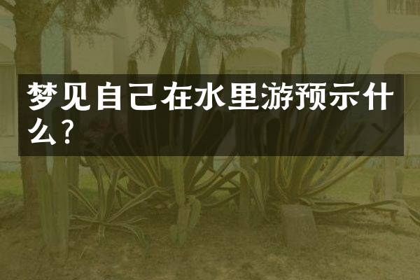 梦见自己在水里游预示什么？