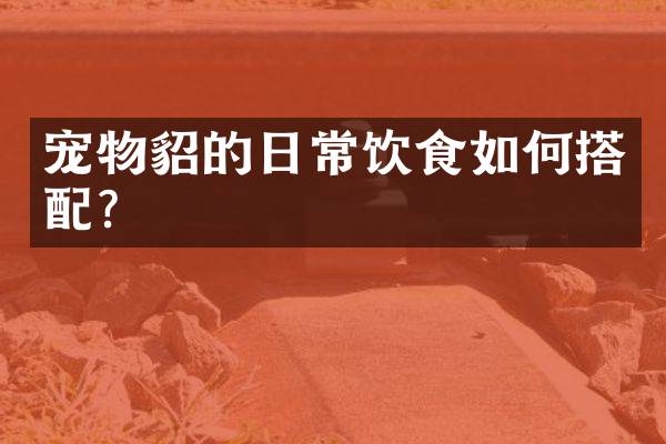 宠物貂的日常饮食如何搭配？