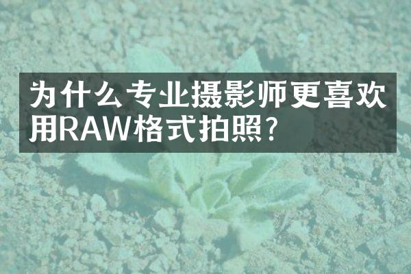 为什么专业摄影师更喜欢用RAW格式拍照？