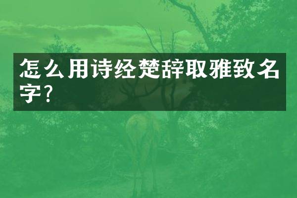 怎么用诗经楚辞取雅致名字？