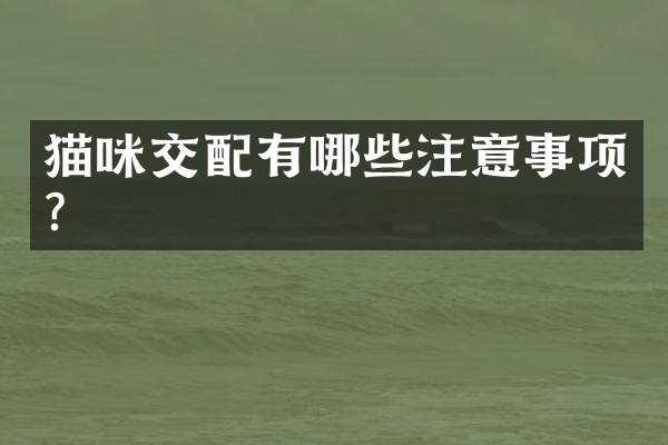 猫咪交配有哪些注意事项？
