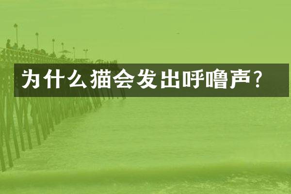 为什么猫会发出呼噜声？