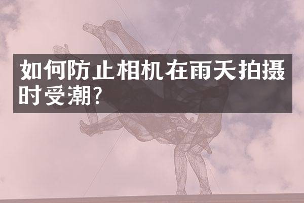 如何防止相机在雨天拍摄时受潮？