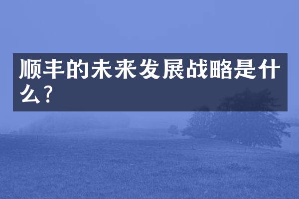 顺丰的未来发展战略是什么？