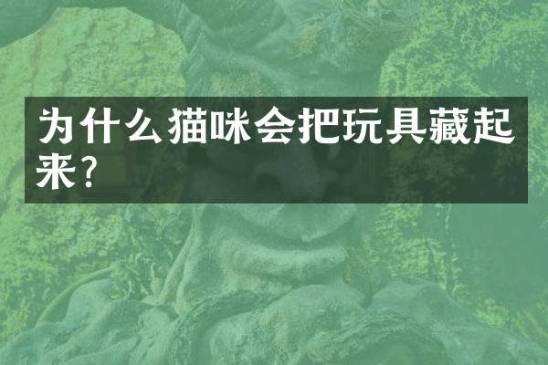 为什么猫咪会把玩具藏起来？