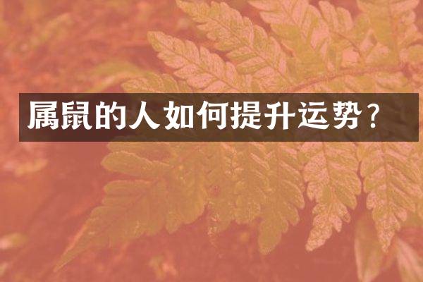 属鼠的人如何提升运势？