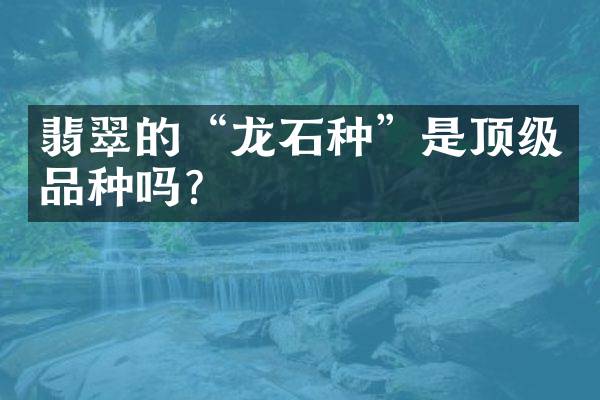 翡翠的&ldquo;龙石种&rdquo;是顶级品种吗？