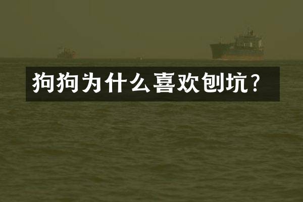 狗狗为什么喜欢刨坑？