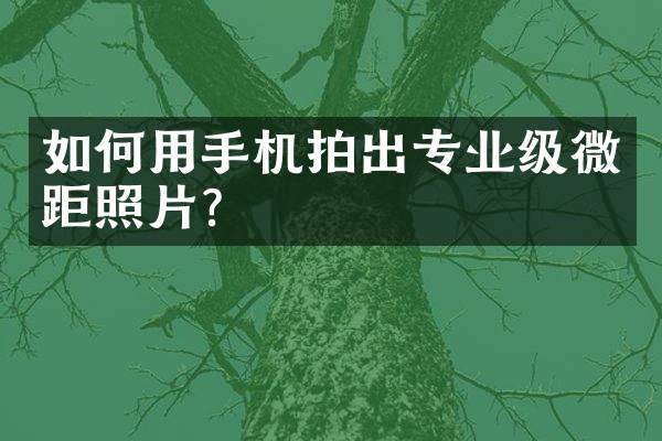 如何用手机拍出专业级微距照片？