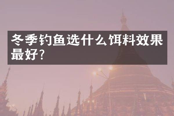 冬季钓鱼选什么饵料效果最好？