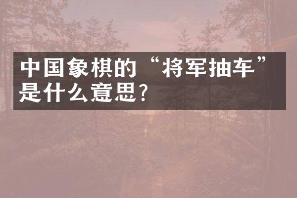 中国象棋的“将军抽车”是什么意思？