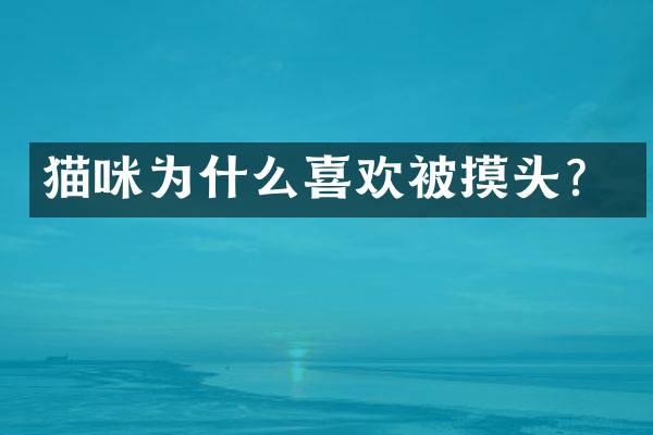 猫咪为什么喜欢被摸头？