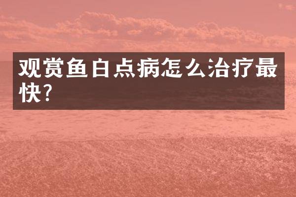 观赏鱼白点病怎么治疗最快？