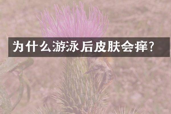 为什么游泳后皮肤会痒？