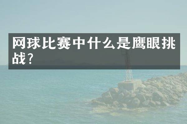网球比赛中什么是鹰眼挑战？